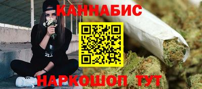 крисы Камышлов