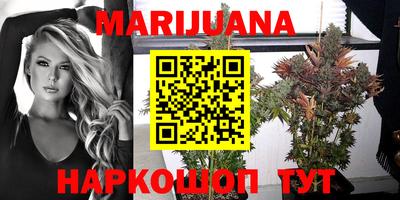 крисы Камышлов