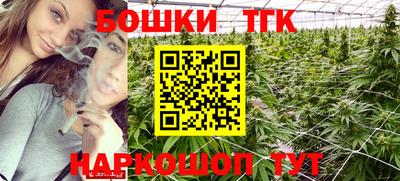 крисы Камышлов