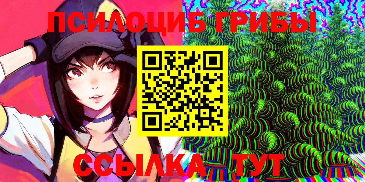 Кузнецк  Галлюциногенные грибы мухоморы  Вход с VPN 