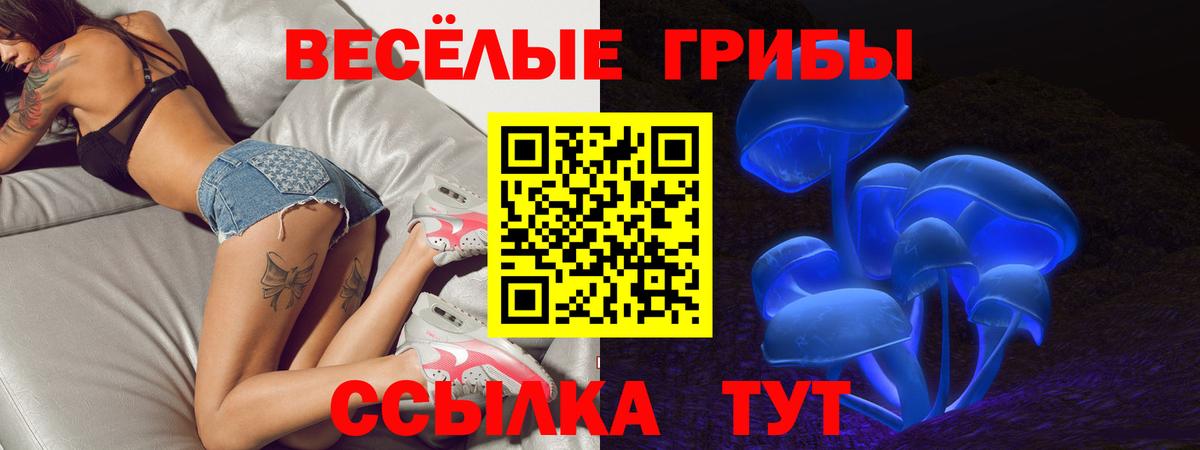 Псилоцибиновые грибы ЛСД Кузнецк